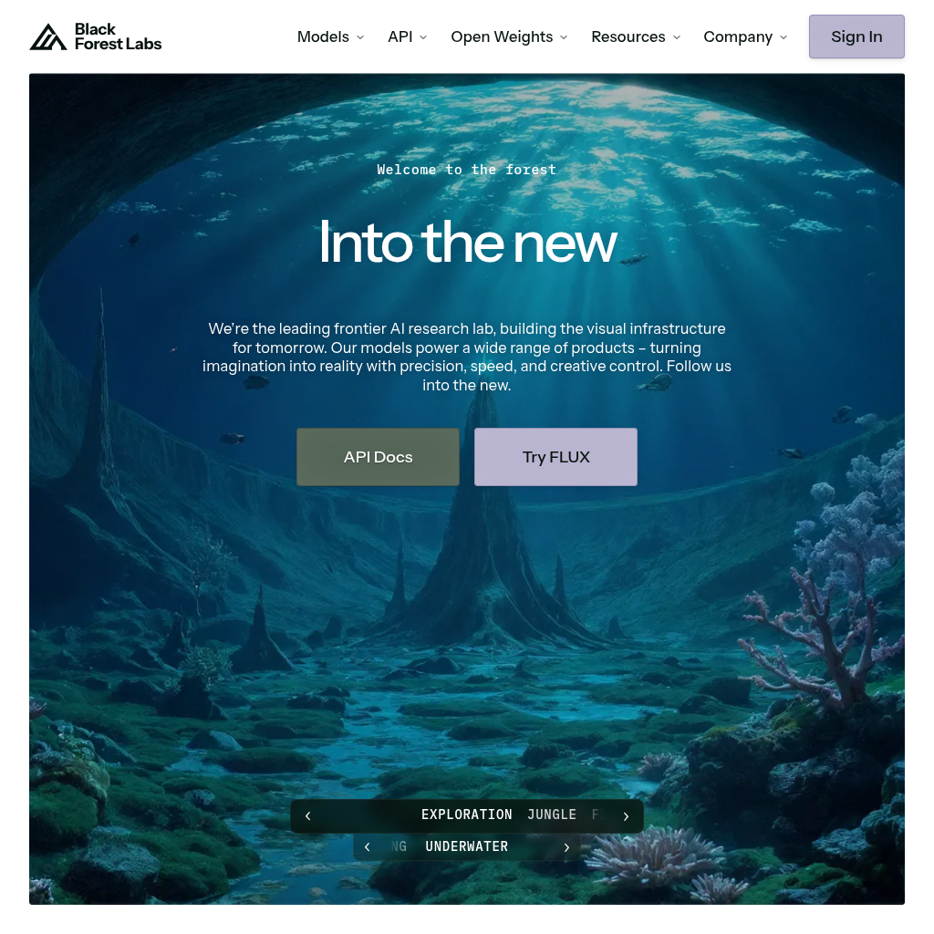 Black Forest Labs - Frontier AI Lab